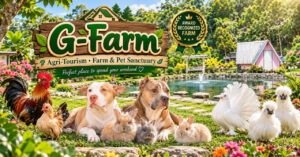 G-Farm